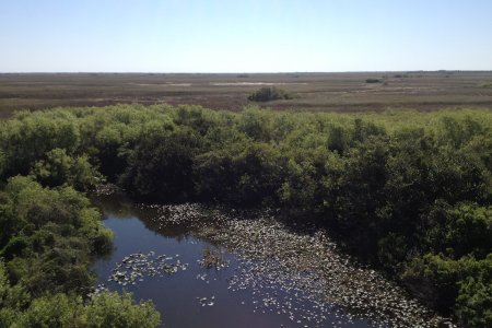 De wijdsheid van Shark Valley, Everglades